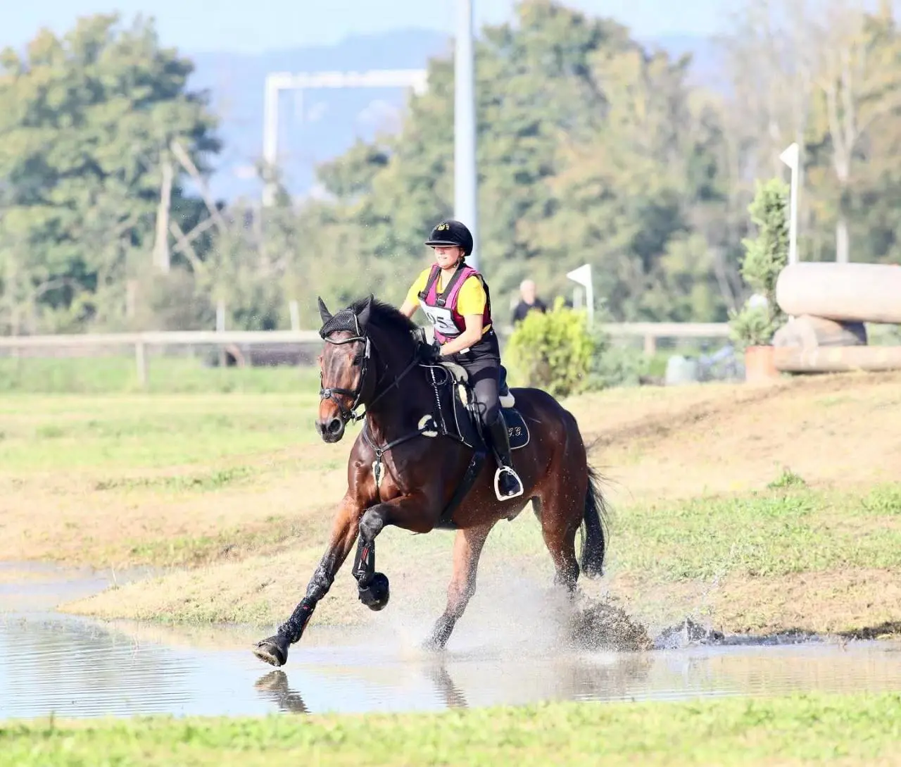Cavaliere e cavallo baio al galoppo nel passaggio in acqua